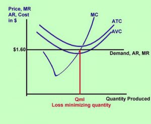 Section 4: Profit Maximization Using a Purely Competitive Firm’s Cost ...